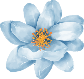 flower blue